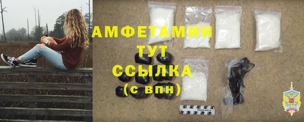 прущие грибы Володарск