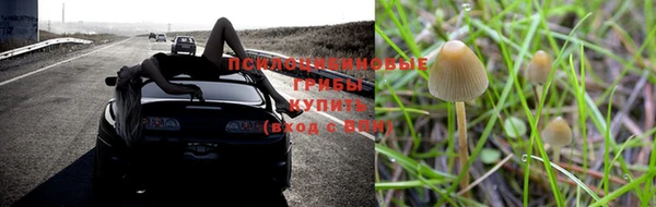 кристаллы Волосово