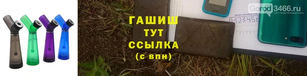 прущие грибы Володарск