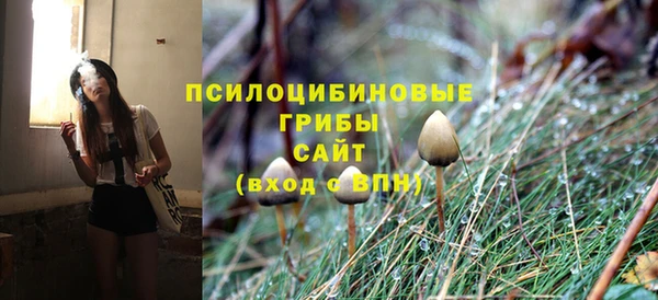 прущие грибы Володарск