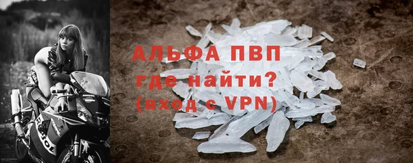 прущие грибы Володарск