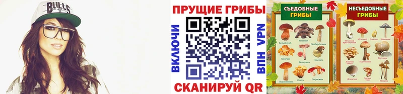 купить наркоту  Мглин  Псилоцибиновые грибы прущие грибы 